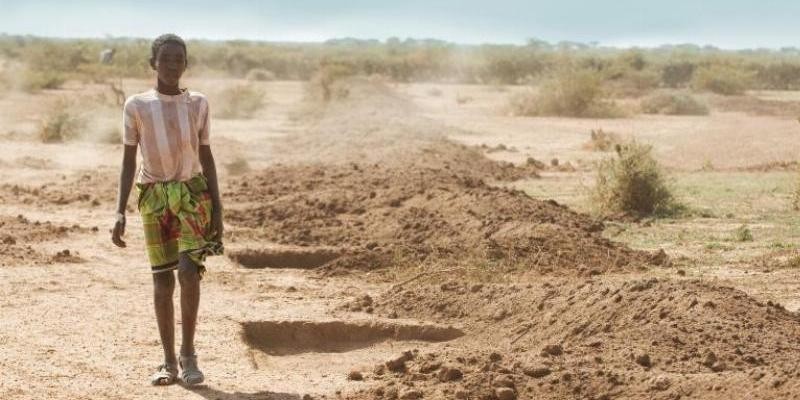 Reunión en Cáritas Madrid para abordar la movilidad humana: foco en Marruecos y Mauritania