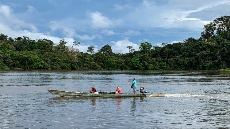 Papa Francisco insta a la Iglesia brasileña a proteger la naturaleza en vísperas de la cumbre Cop30